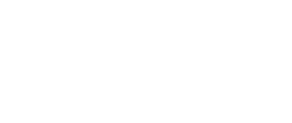 Villaggio-Logo-white